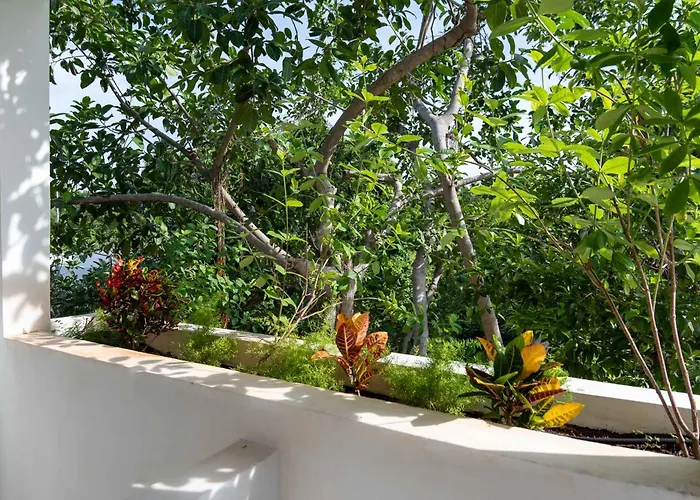 Pensión Casa Guapita *