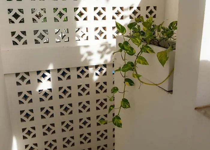 Casa Guapita *