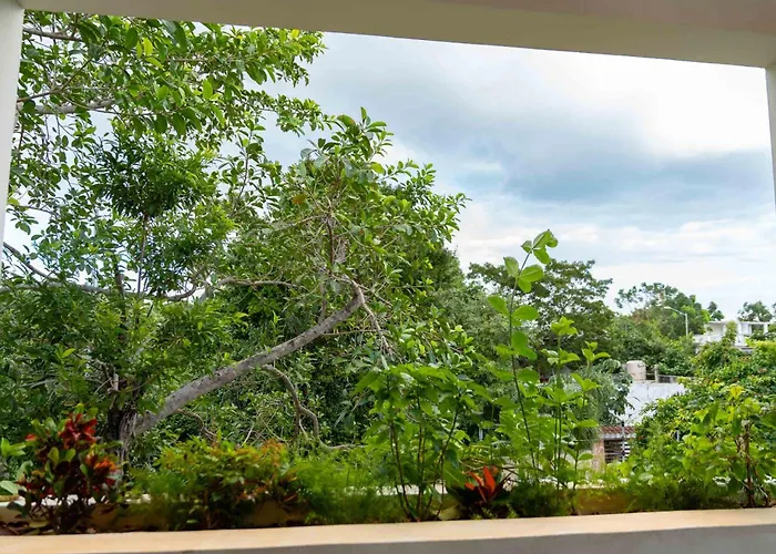 Pensión Casa Guapita Playa del Carmen
